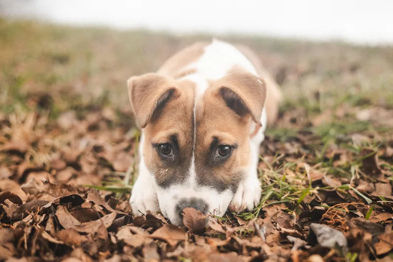 Kenya  Transport thumbnail 2