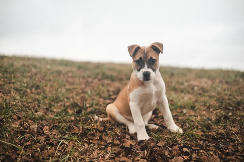 Kenya  Transport thumbnail 3