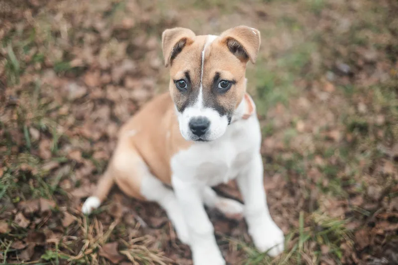 Kenya  Transport thumbnail 4