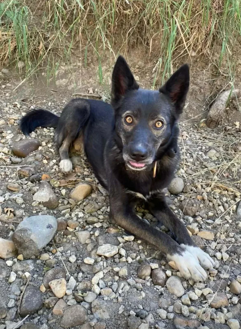 Lulu Aka Moro thumbnail 2