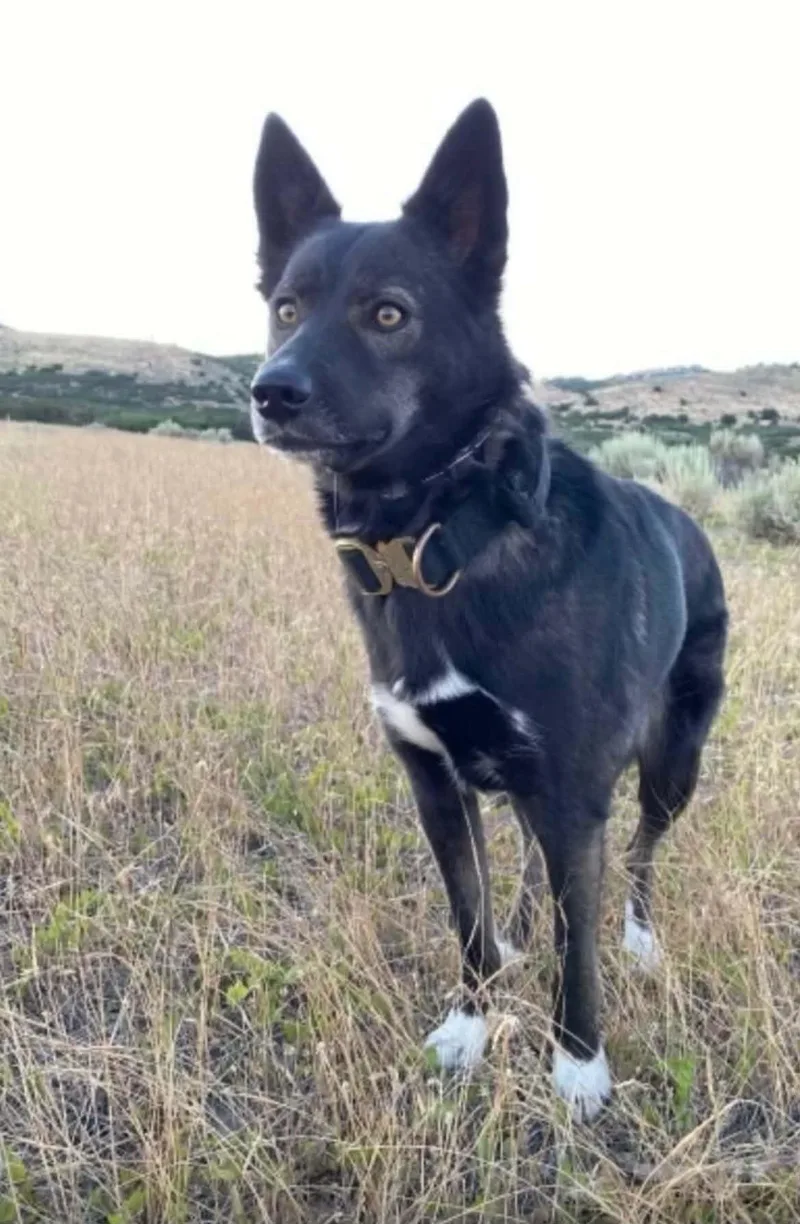 Lulu Aka Moro thumbnail 3