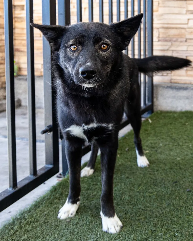 Lulu Aka Moro thumbnail 4