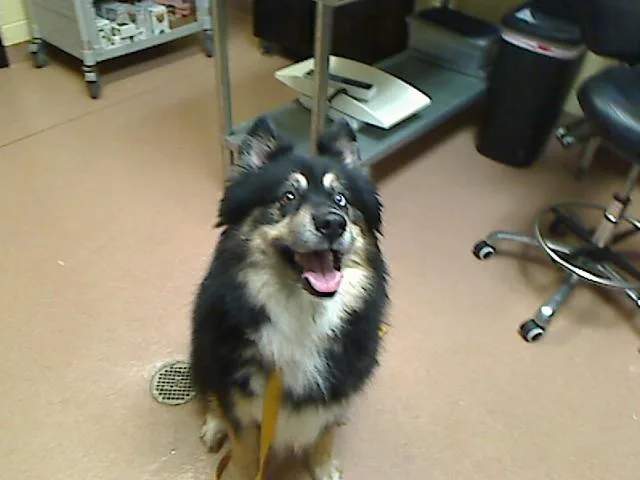 Malachi