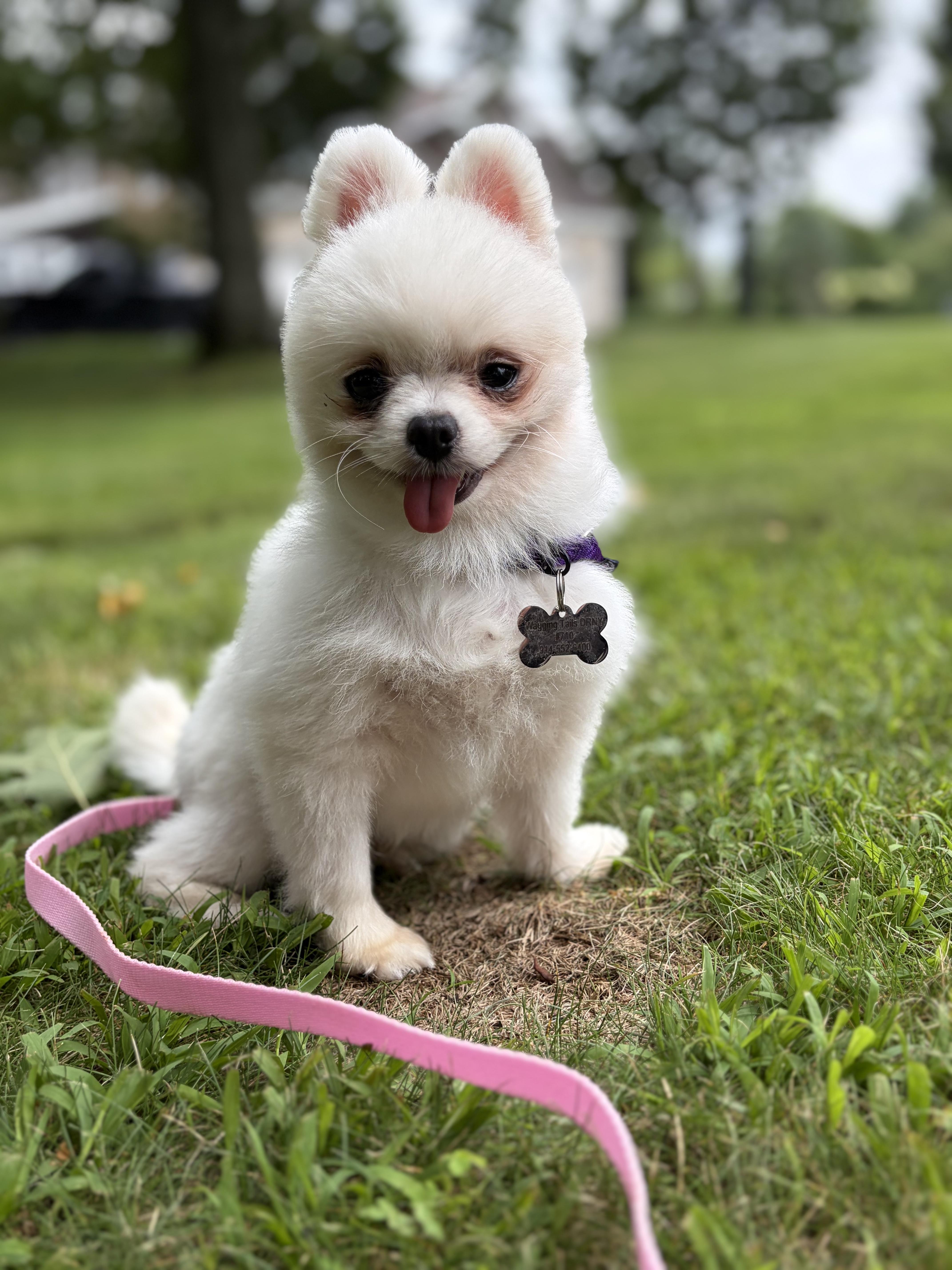 Pearly Mae thumbnail 3