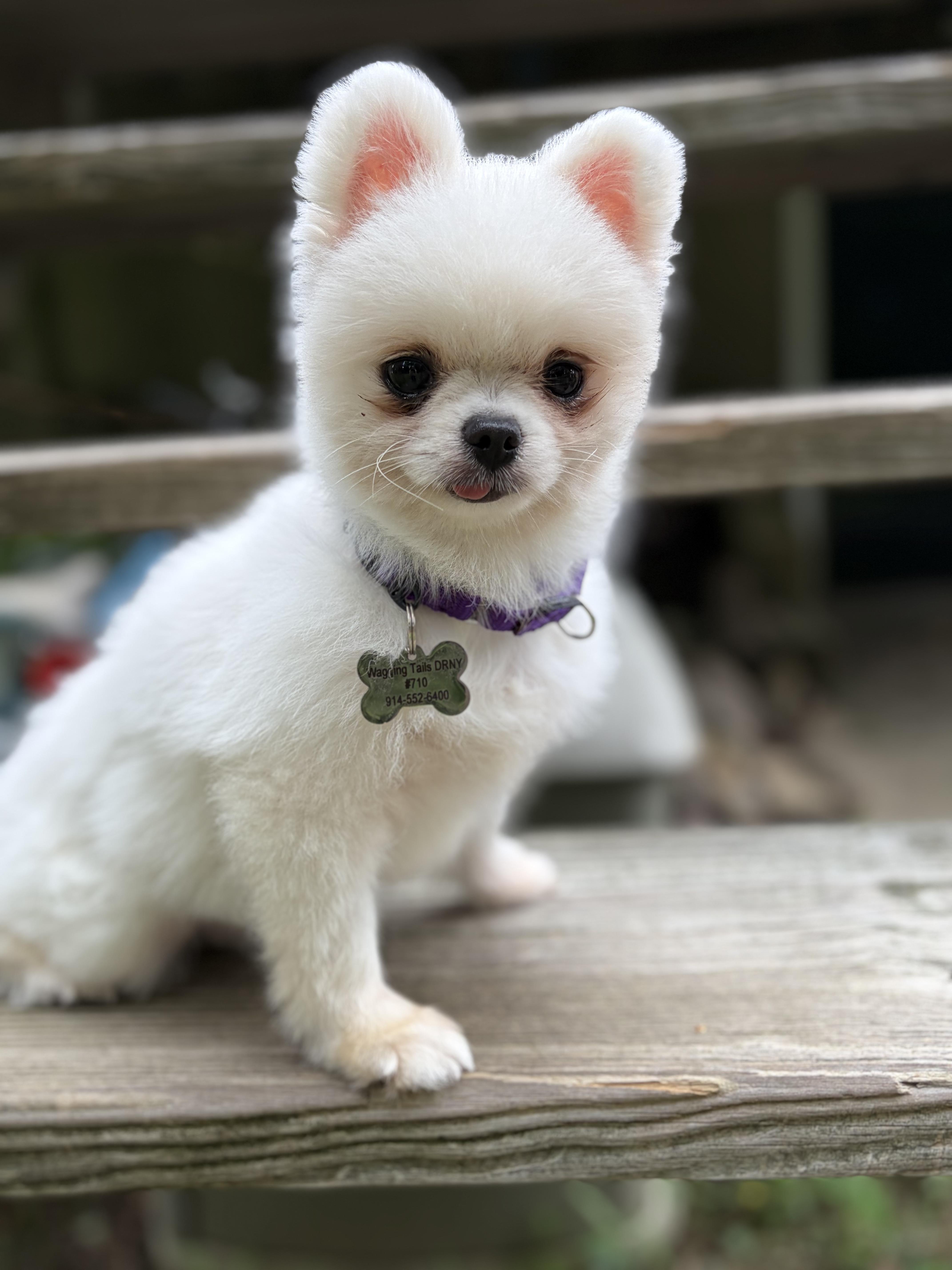Pearly Mae thumbnail 4