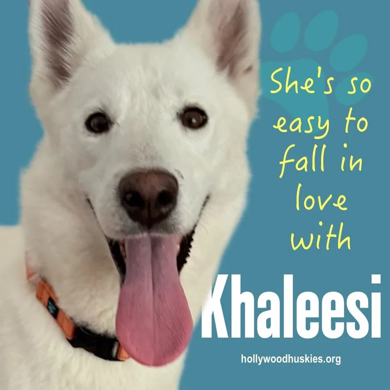 Khaleesi thumbnail 3