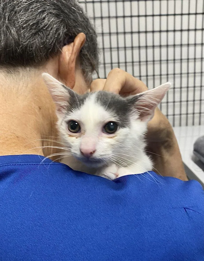 Kiki