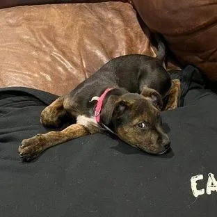 Coco