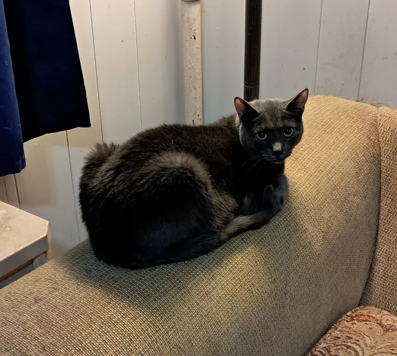 Rosa Mae thumbnail 4