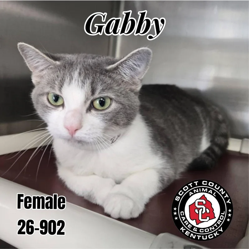 Gabby