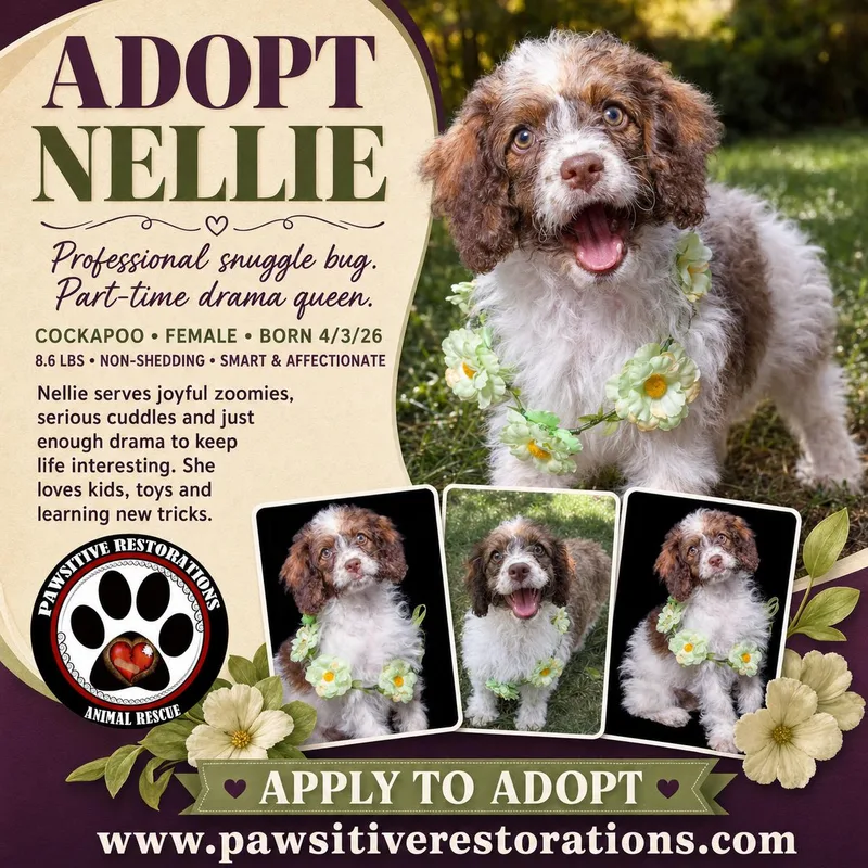 Nellie