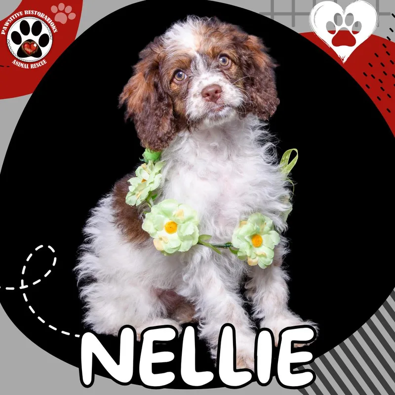 Nellie thumbnail 3