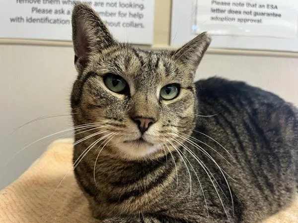 Skeeter The Greeter thumbnail 2