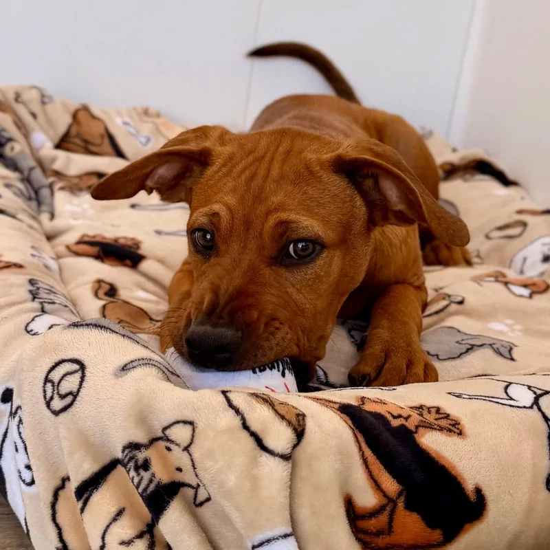 Walter thumbnail 4