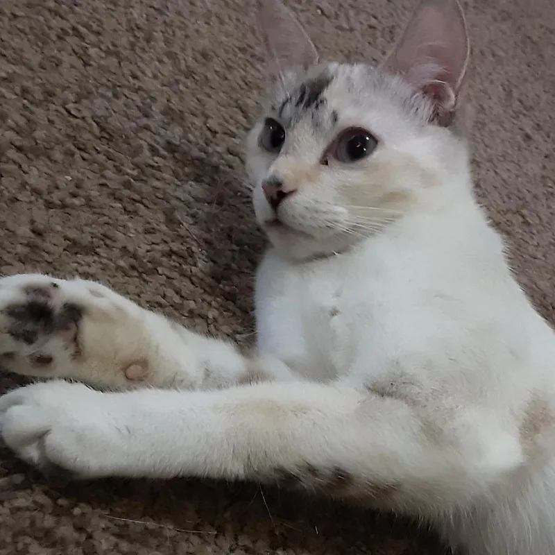 Lexi thumbnail 4