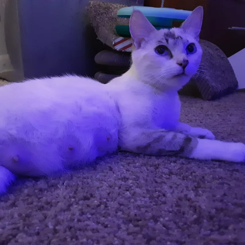 Lexi thumbnail 5