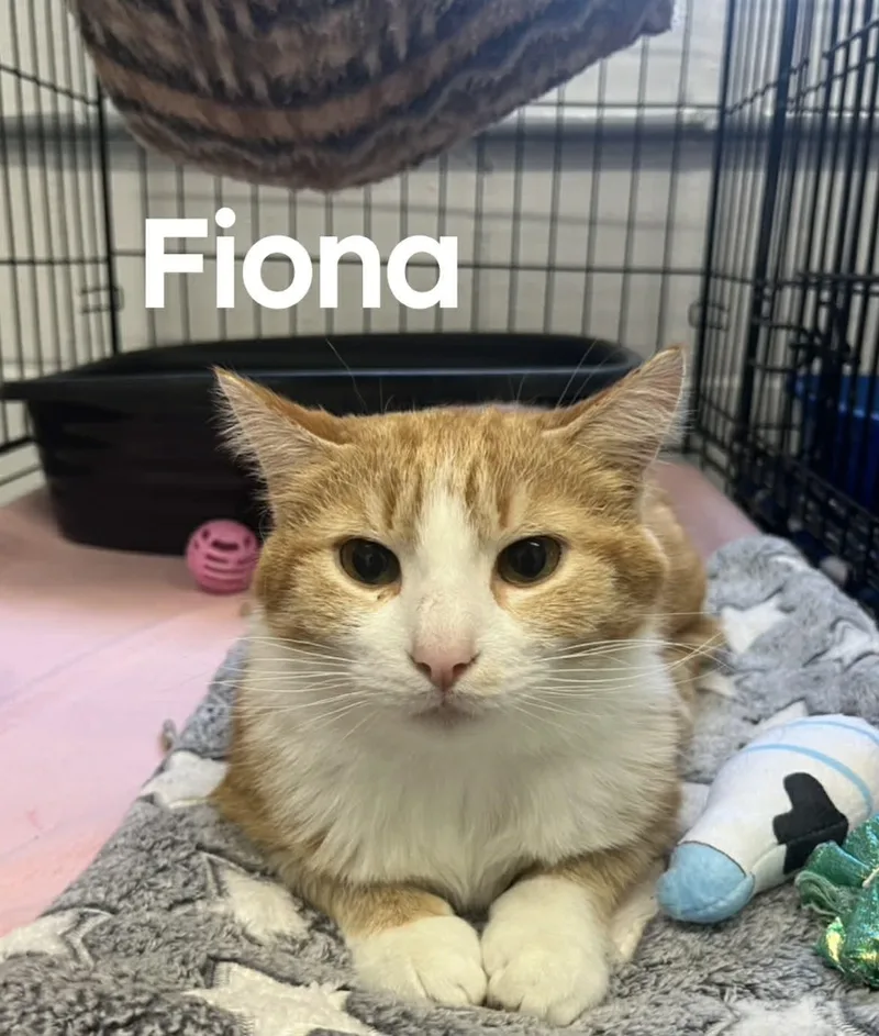 Fiona
