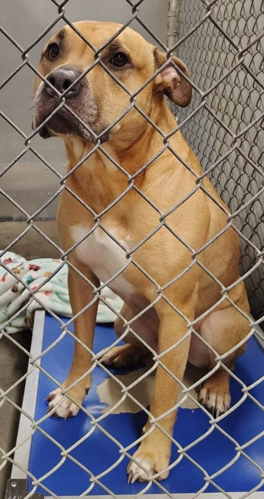 Harlem Fka Clay thumbnail 2