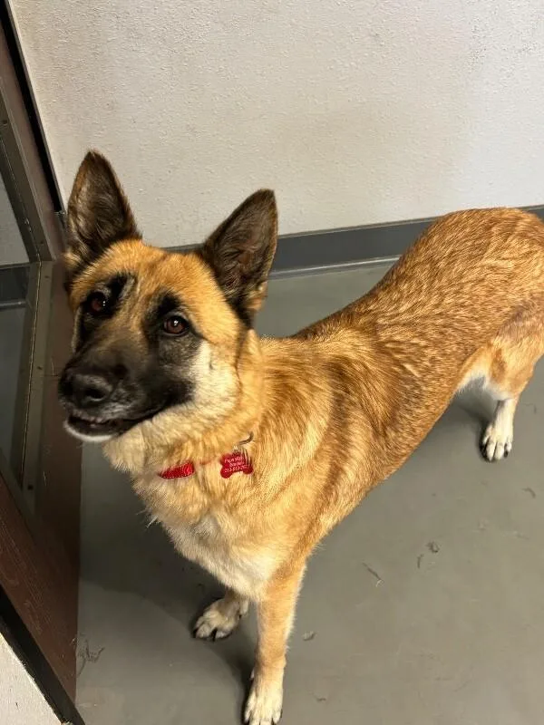 Princess thumbnail 2