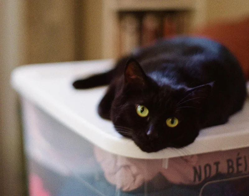 Sally   Offered thumbnail 2