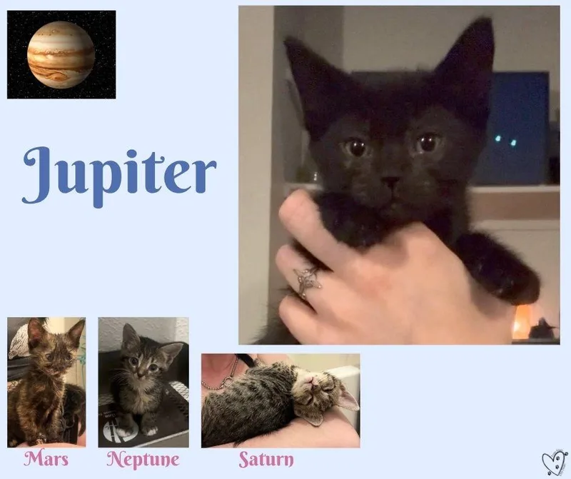 Jupiter