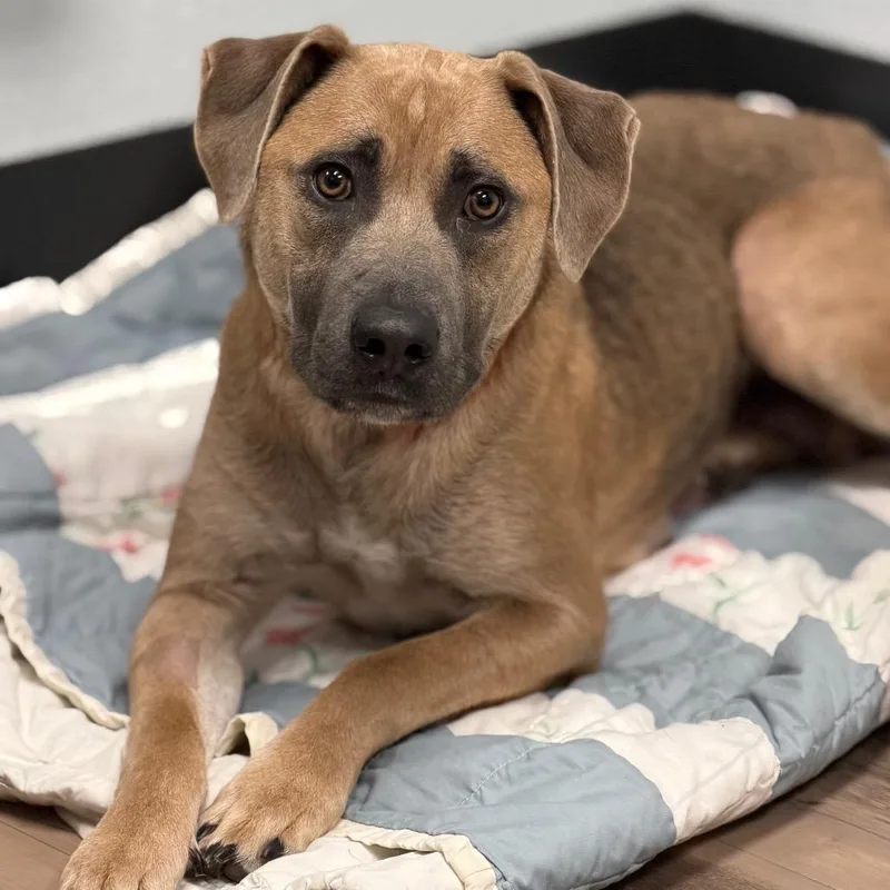 Marilynn thumbnail 2