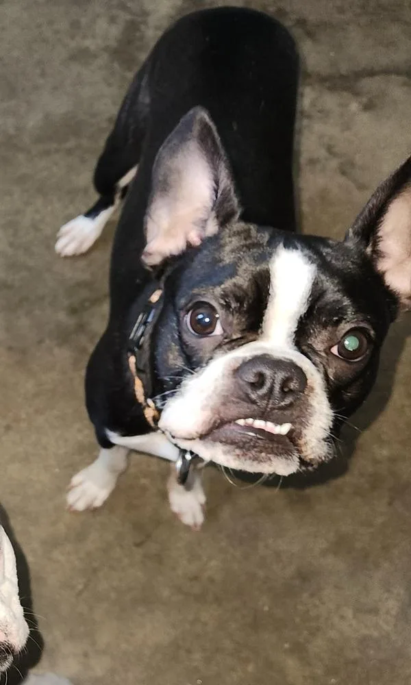 Odin Meredith Maryville  thumbnail 5