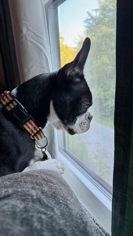 Odin Meredith Maryville  thumbnail 6