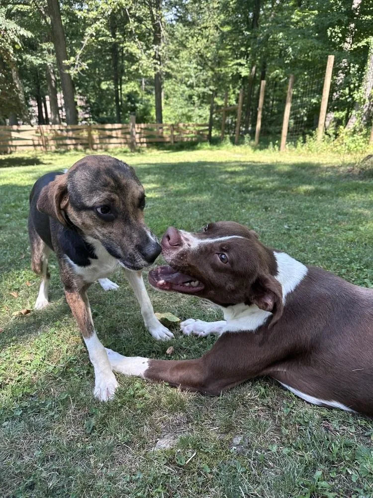 Zoomie thumbnail 2