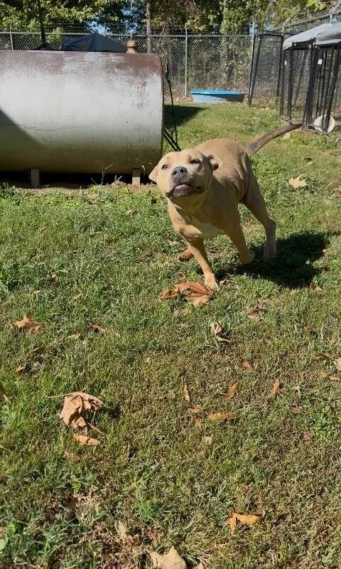 Delilah thumbnail 5