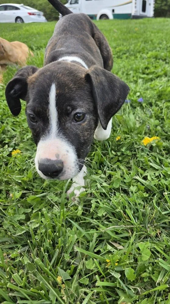 Srv Palau : Ian thumbnail 2