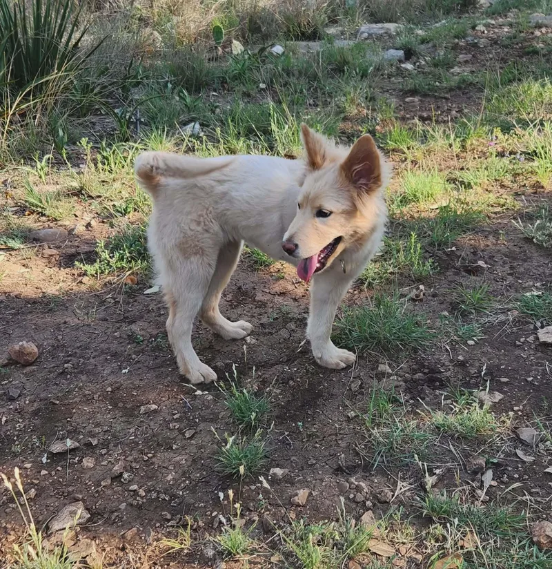 Ashlynn Jw thumbnail 2