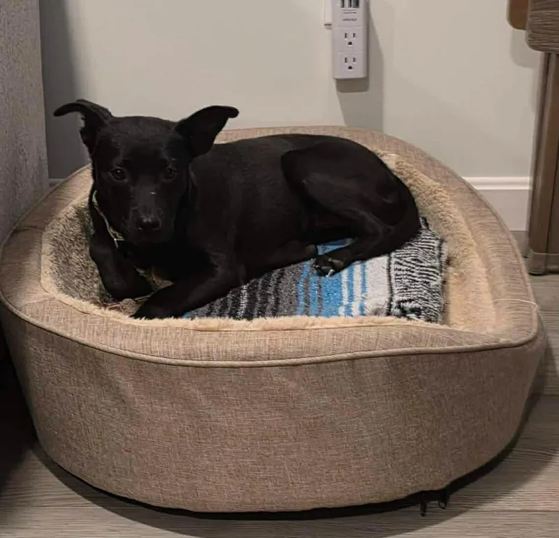 Clementine thumbnail 3