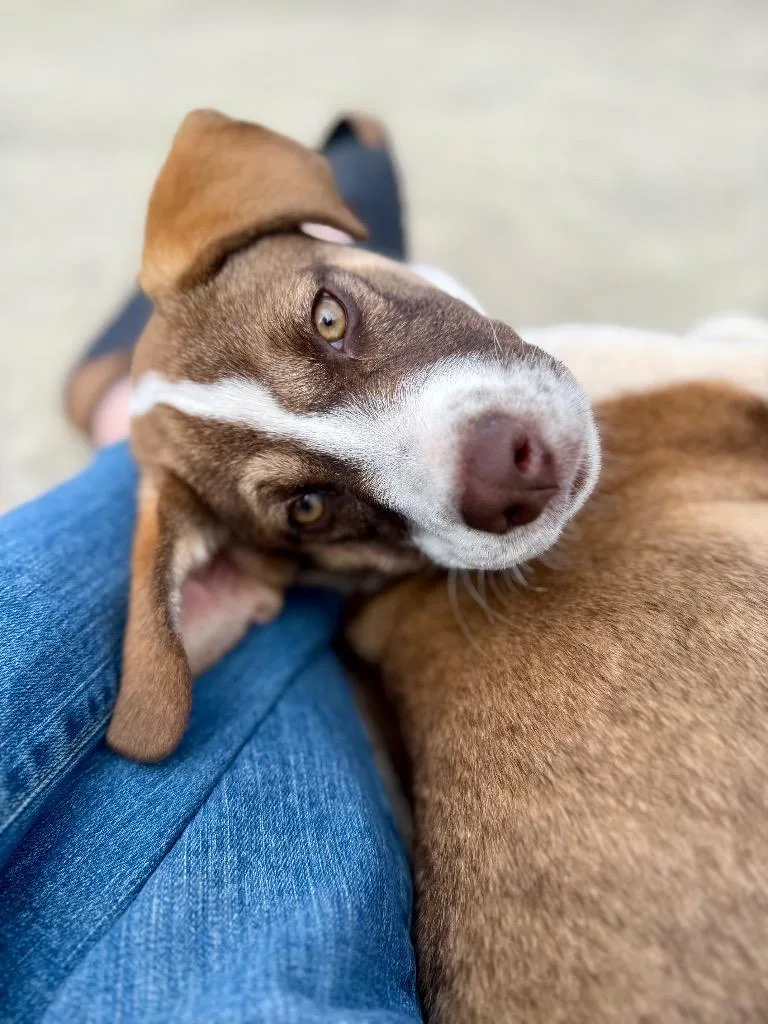 Mercedes thumbnail 2