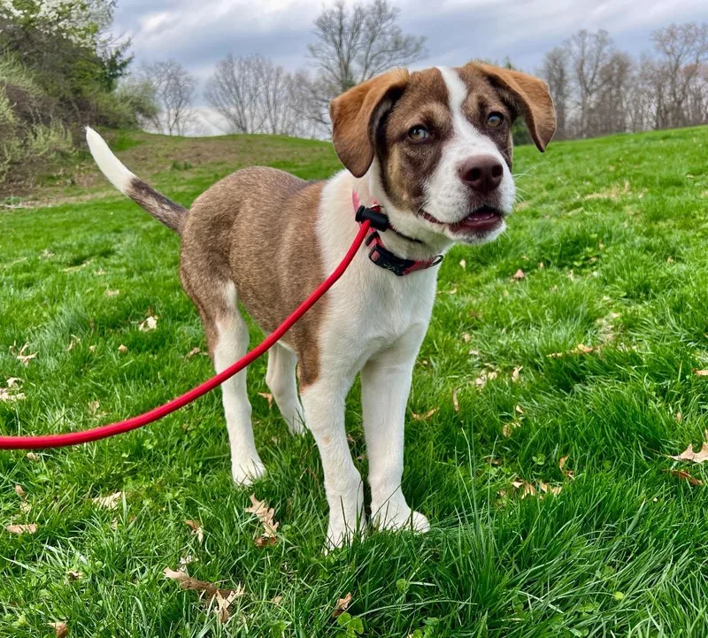 Mercedes thumbnail 3