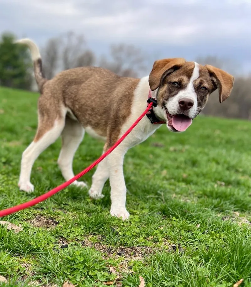 Mercedes thumbnail 4