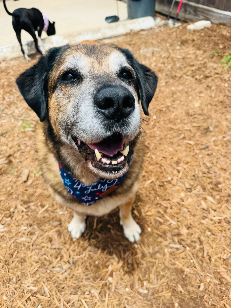 Sweet Pea thumbnail 2