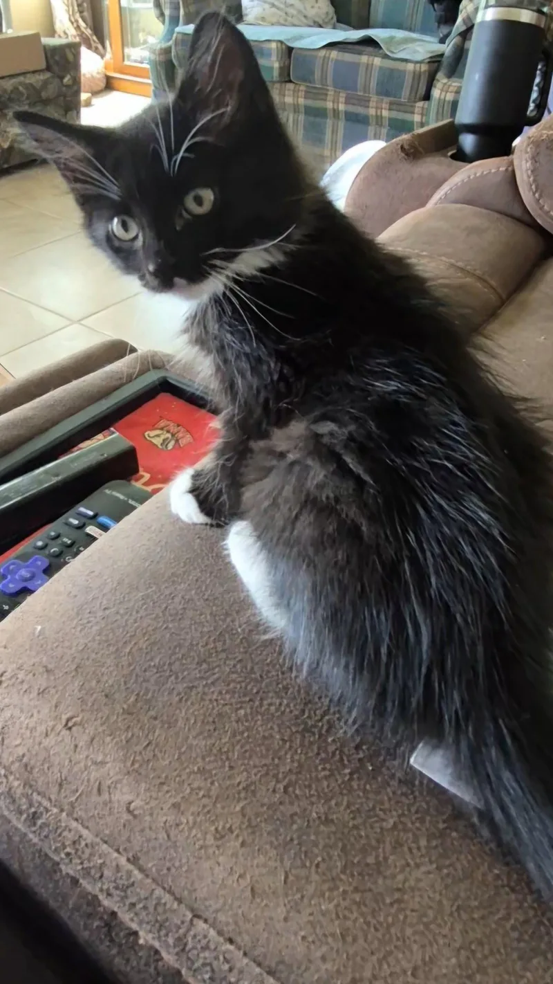 Stormy