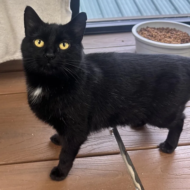 Zoe Saldana thumbnail 2