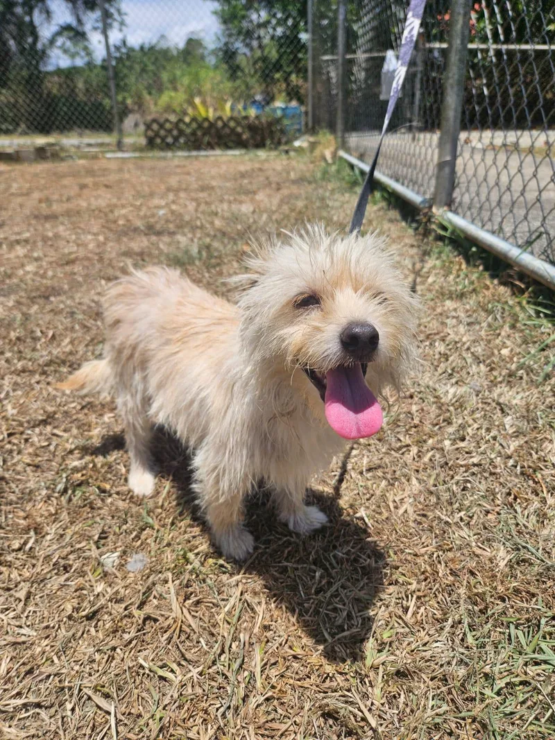 Coco thumbnail 4