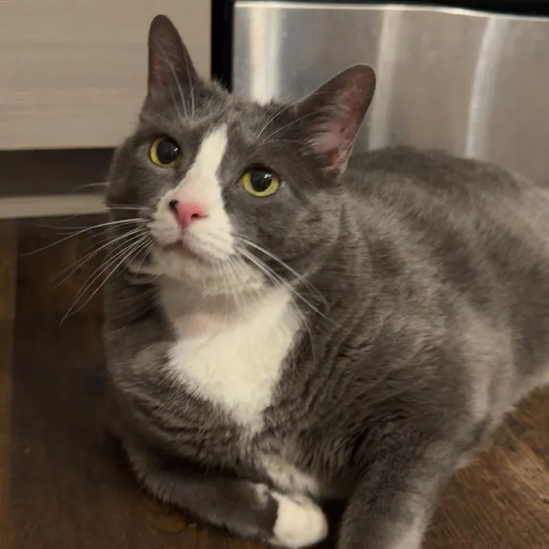 Hattie Mae thumbnail 2