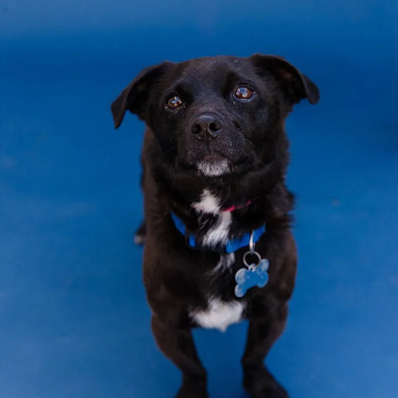 Nikko  Costa Mesa thumbnail 3