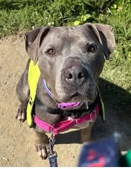 Tyla  Supr Friendly thumbnail 2