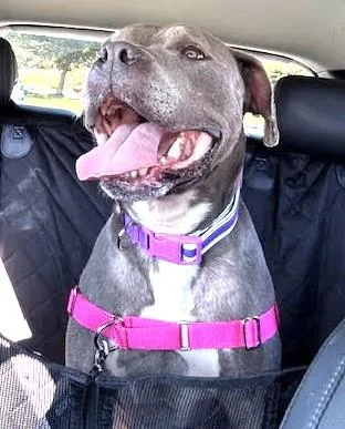 Tyla  Supr Friendly thumbnail 3