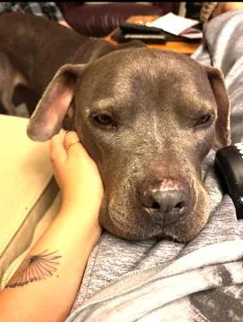 Tyla  Supr Friendly thumbnail 5