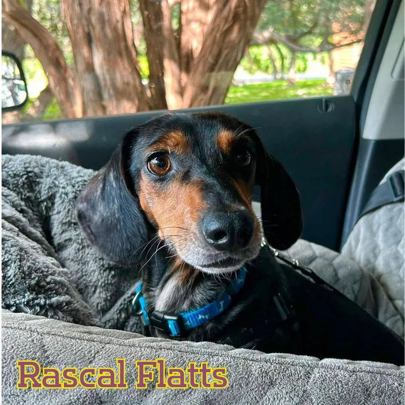 Rascal Flatts thumbnail 2