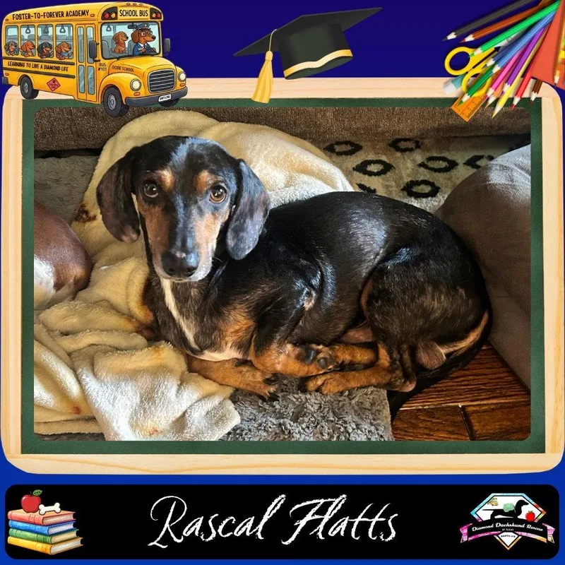 Rascal Flatts thumbnail 3