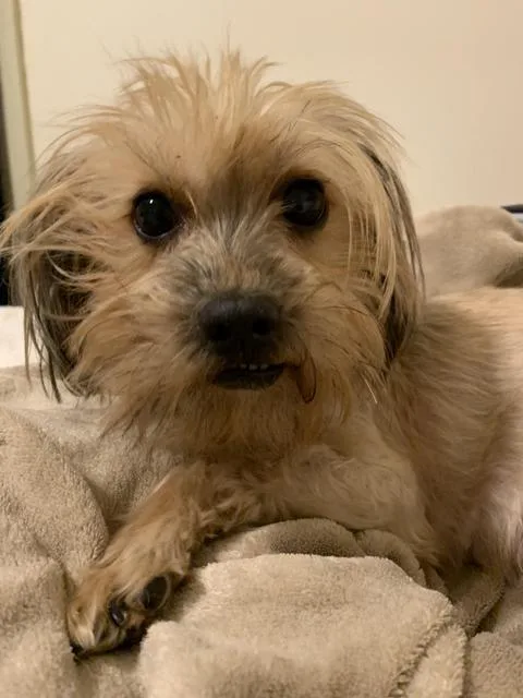 Princess thumbnail 5