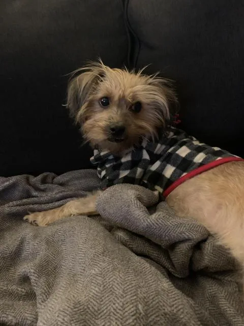 Princess thumbnail 6