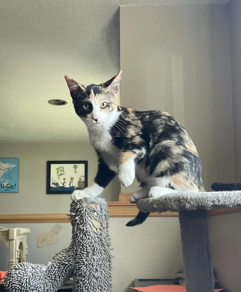Missy thumbnail 2